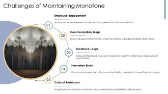 Monotone For Organizational Efficiency Improvement PPT Guidelines AT Editable Designed