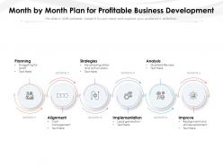 Month by month plan for profitable business development