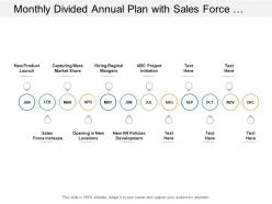 Monthly divided annual plan with sales force increase and new locations