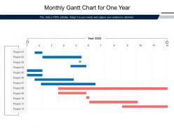 Monthly gantt chart for one year