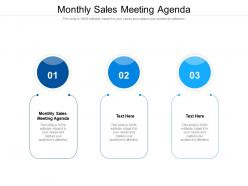 Monthly sales meeting agenda ppt powerpoint presentation portfolio samples cpb