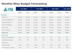 Monthly wise budget forecasting management ppt powerpoint presentation gallery background