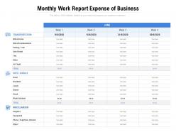 Monthly work report expense of business