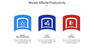 Morale Affects Productivity Ppt Powerpoint Presentation Diagram Images Cpb