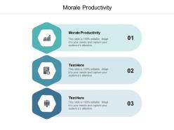 Morale productivity ppt powerpoint presentation model tips cpb