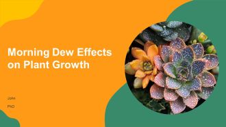 Morning Dew Effects On Plant Growth PPT Example AT
