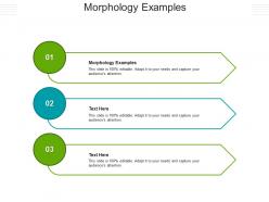 Morphology examples ppt powerpoint presentation portfolio pictures cpb