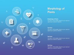 Morphology of plants ppt powerpoint presentation professional brochure