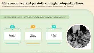 Most Common Brand Portfolio Strategies Adopted By Firms Making Brand Portfolio Work