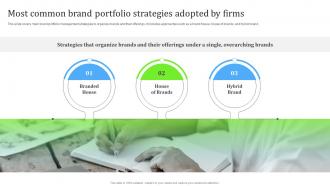 Most Common Brand Portfolio Strategies Adopted By Firms Ppt File Clipart