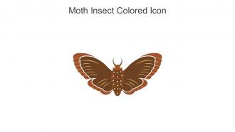 Moth Insect Colored Icon In Powerpoint Pptx Png And Editable Eps Format