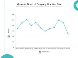 Mountain graph of company one year sale