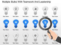Mq multiple bulbs with teamwork and leadership powerpoint temptate