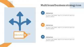 Multi Brand Business Strategy Icon