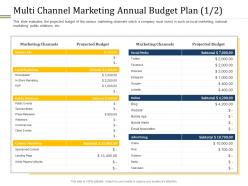 Multi channel marketing annual budget plan budget ppt information