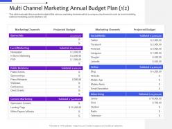 Multi channel marketing annual budget plan projected budget distribution management system ppt ideas