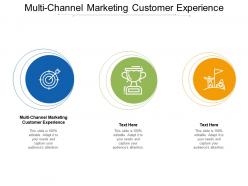 Multi channel marketing customer experience ppt powerpoint presentation show cpb