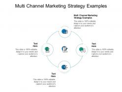 Multi channel marketing strategy examples ppt powerpoint templates cpb
