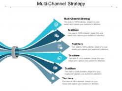Multi channel strategy ppt powerpoint presentation infographic template graphics template cpb