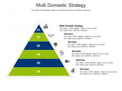 Multi domestic strategy ppt powerpoint presentation file layout cpb