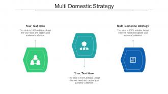 Multi Domestic Strategy Ppt Powerpoint Presentation File Sample Cpb