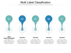 Multi label classification ppt powerpoint presentation file grid cpb