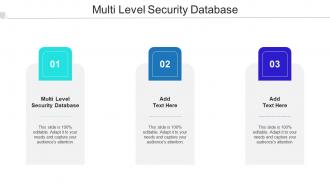 Multi Level Security Database In Powerpoint And Google Slides Cpb
