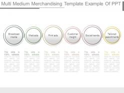 Multi Medium Merchandising Template Example Of Ppt