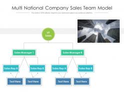 Multi National Company Sales Team Model