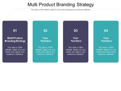 Multi product branding strategy ppt powerpoint presentation gallery model cpb