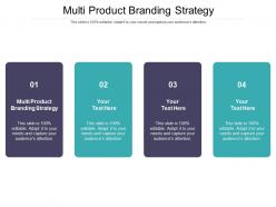Multi product branding strategy ppt powerpoint presentation ideas clipart cpb