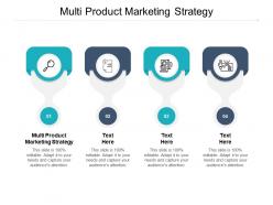 Multi product marketing strategy ppt powerpoint presentation introduction cpb
