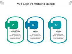 Multi segment marketing example ppt powerpoint presentation file demonstration cpb