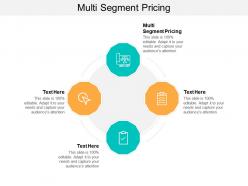 Multi segment pricing ppt powerpoint presentation inspiration pictures cpb