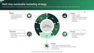 Multi Step Sustainable Marketing Strategy