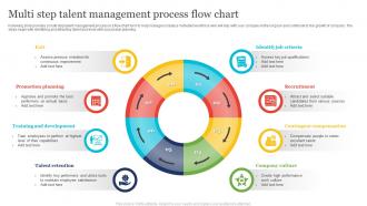 Multi Step Talent Management Process Flow Chart