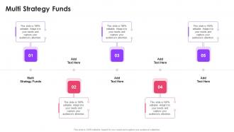 Multi Strategy Funds In Powerpoint And Google Slides Cpb