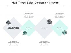 Multi tiered sales distribution network ppt powerpoint presentation model display cpb