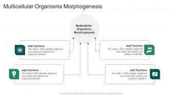 Multicellular Organisms Morphogenesis In Powerpoint And Google Slides Cpb