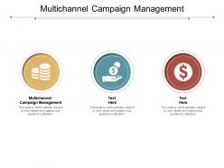 Multichannel campaign management ppt powerpoint presentation layouts portrait cpb