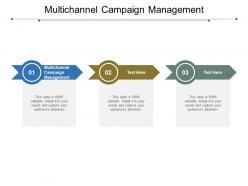 Multichannel campaign management ppt powerpoint presentation portfolio example introduction cpb