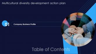 Multicultural Diversity Development Action Plan Powerpoint Presentation Slides