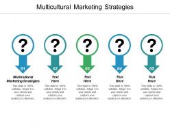 Multicultural marketing strategies ppt powerpoint presentation ideas vector cpb