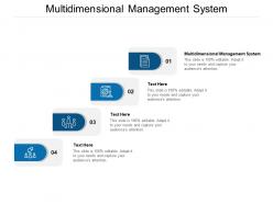 Multidimensional management system ppt powerpoint presentation inspiration summary cpb