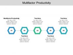 Multifactor productivity ppt powerpoint presentation inspiration icon cpb