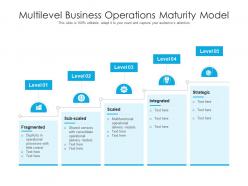 Multilevel business operations maturity model