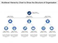 Multilevel hierarchy chart to show the structure of organisation
