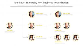 Multilevel hierarchy for business organization powerpoint slides