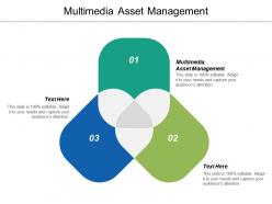 Multimedia asset management ppt powerpoint presentation ideas microsoft cpb