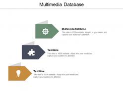 Multimedia database ppt powerpoint presentation styles graphics design cpb